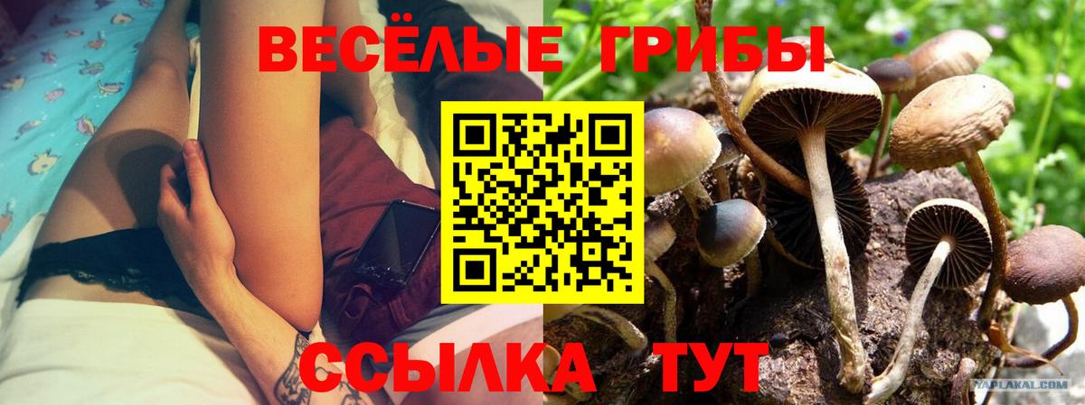 Ирбит  Псилоцибиновые грибы GOLDEN TEACHER  Вход с VPN 